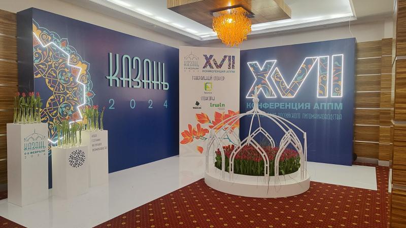 Конференция АППМ 2024 в Казани